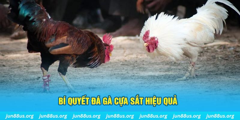 bj 88 xổ số miền bắc thứ ba hàng tuần