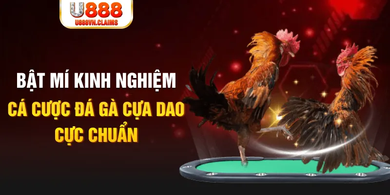 bj 88 casino hồ tràm có cho người việt vào không