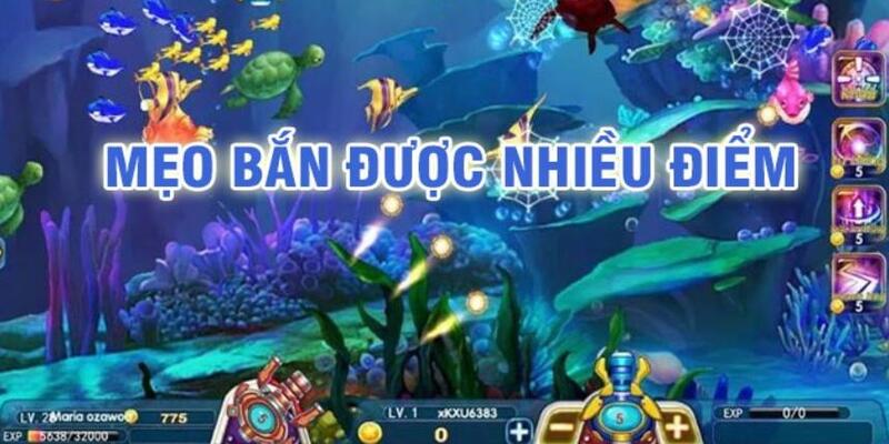 bj 88 baccarat có lừa đảo không