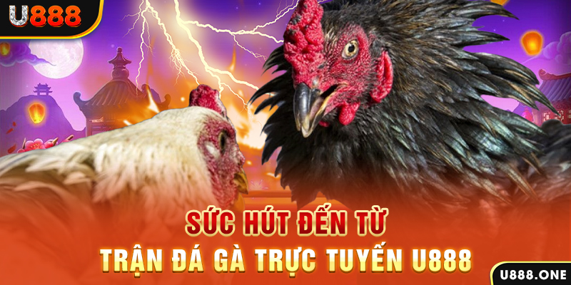 bj 88 đăng nhập poker 2024