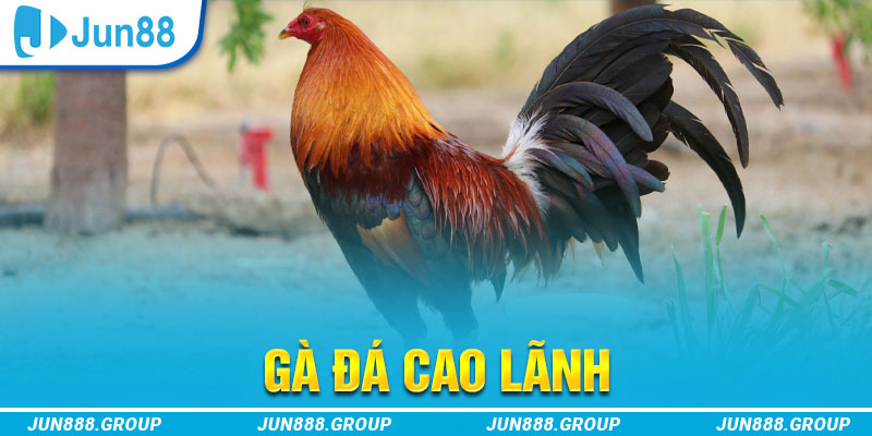 bj 88 tai game vua bai ve may tinh