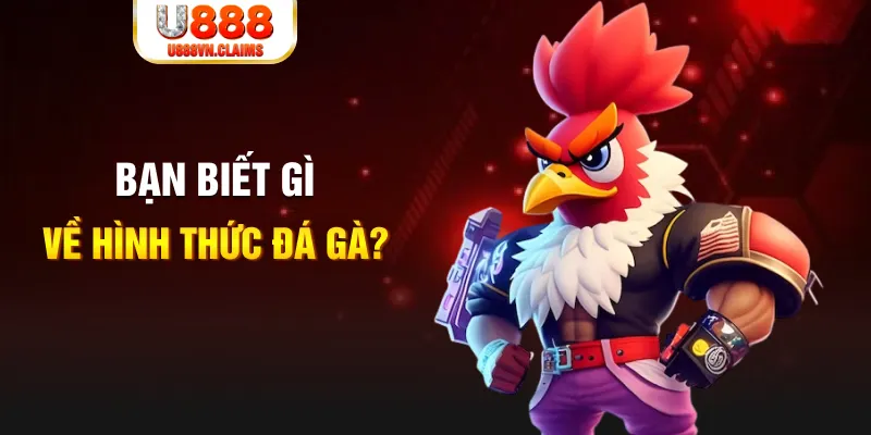 bj 88 đăng nhập liêng tặng tiền