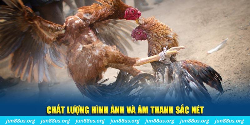 bj 88 tai game danh bai mien phi ve may tinh