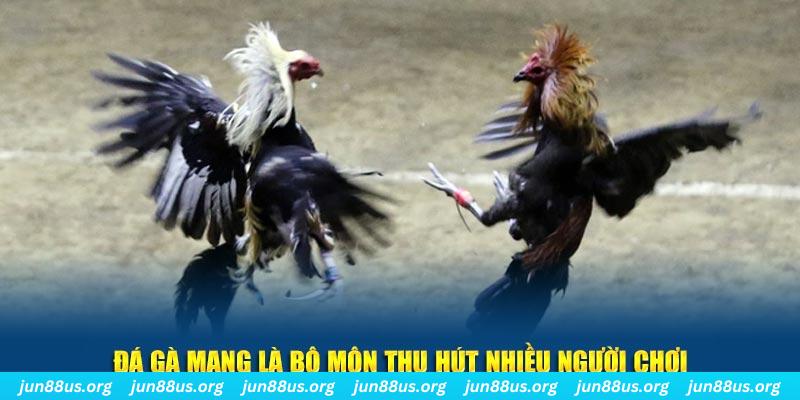 bj 88 đăng nhập sòng bạc số 1