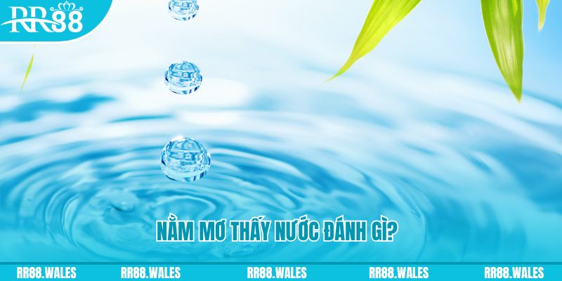 bj 88 xổ số trực tiếp miền bắc