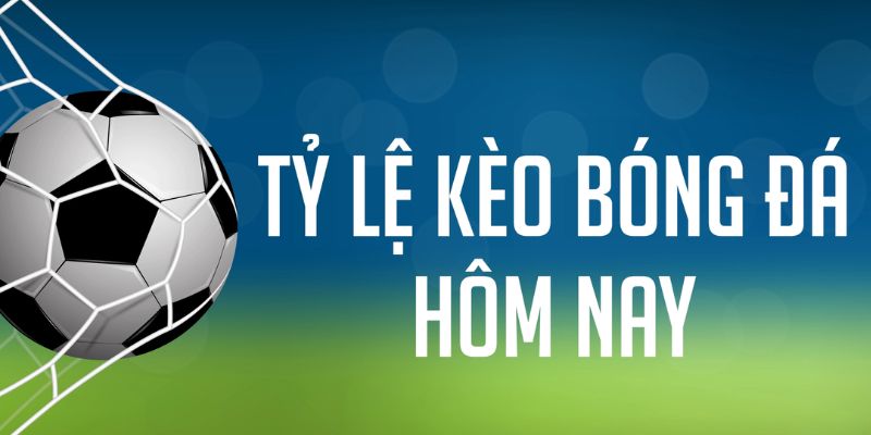 bj 88 đăng nhập phỏm