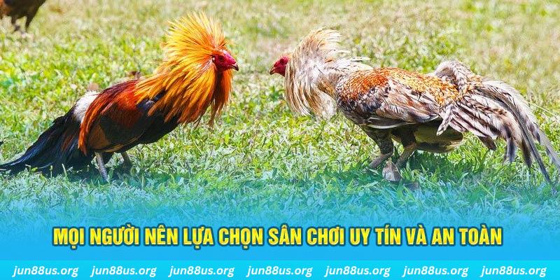 bj 88 đăng nhập poker 2025