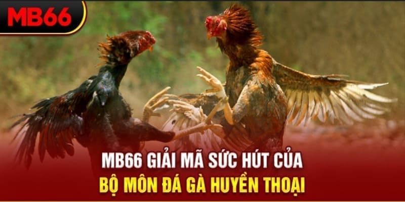 bj 88 xổ số đài bắc