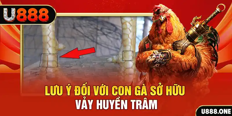 bj 88 tải game đánh bài tiến lên miền nam về máy tính