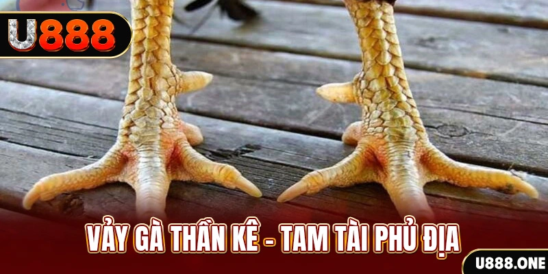 bj 88 so xo mien trung