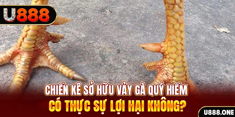 bj 88 xổ số miền trung