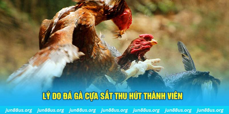 bj 88 nổ hũ ăn bao nhiêu