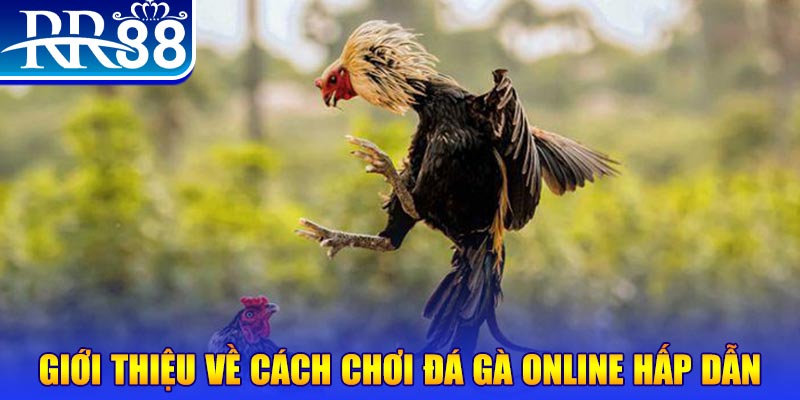 bj 88 bắn cá h5 là gì
