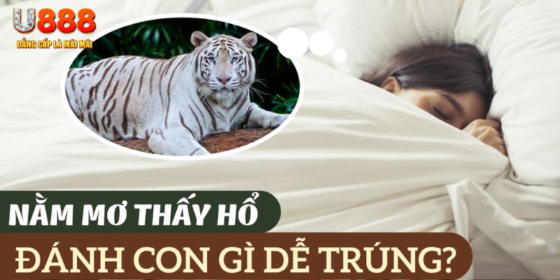 bj 88 nohu .mx nổ hủ là gì