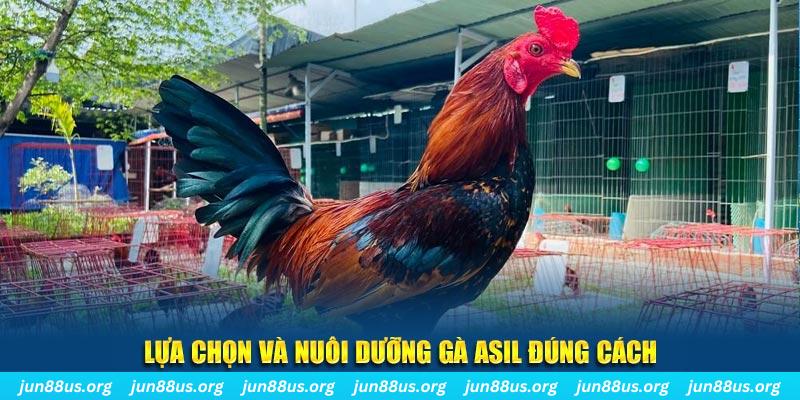 bj 88 nổ hũ thần tài là gì