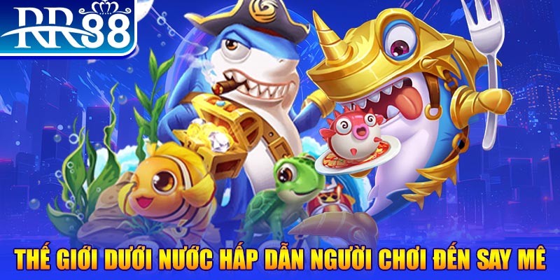 bj 88 đăng nhập mậu binh dễ thắng