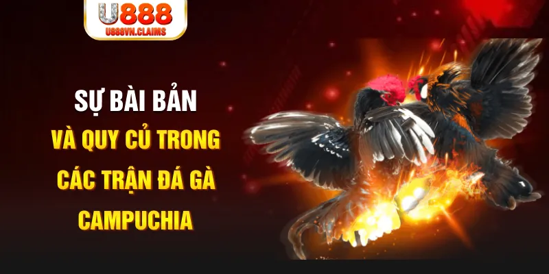 bj 88 game xếp bài trên máy tính