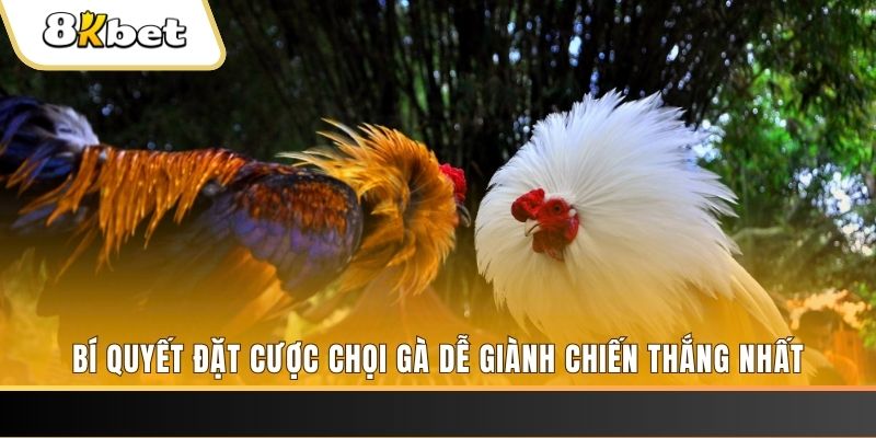 bj 88 nổ hũ chơi như thế nào