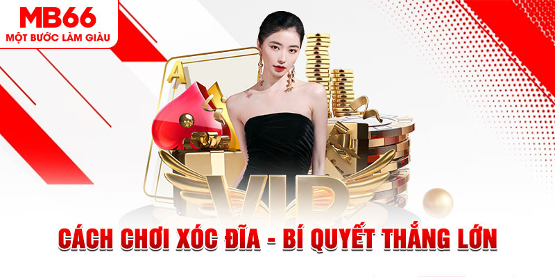bj 88 Đĩa màu ace