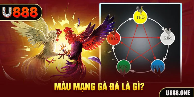 bj 88 V8 Game Bài 3d