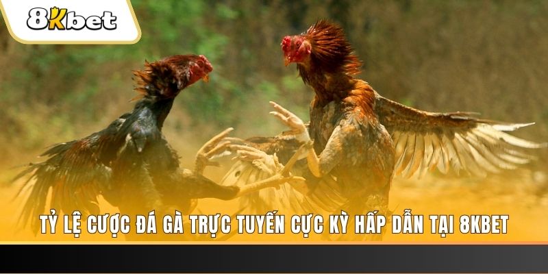 bj 88 xổ số miền bắc chủ nhật