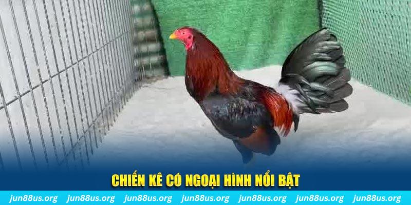 bj 88 qq88 bắn cá
