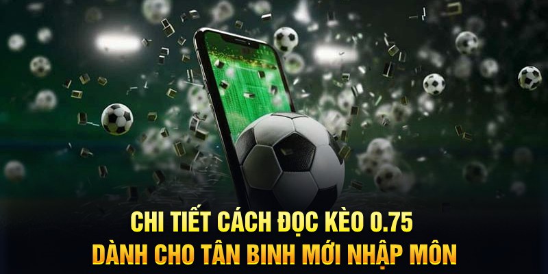 bj 88 Xì tố